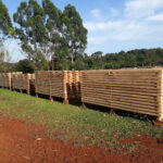 AF1QipPpL4lVO452tupkUXwSBj5L4fIab7orPJHeDlraw408 h306 k no