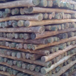 AF1QipPpzAHcxJKpr Tn6X1JlCnvcQ3NOcXLBkgFuILZw408 h725 k no 1