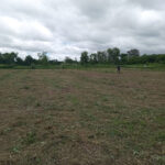 AF1QipPqn3mjjnM EDsxHoRUa Lcu as dTdxT5t9sZNw408 h544 k no