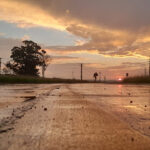 Carpal SA - Planta 5 - Paso de los Libres 12 AF1QipPv4ttSoJ66mm7d cMoaoBJ3bQ VDpNrgk111Nmw533 h240 k no