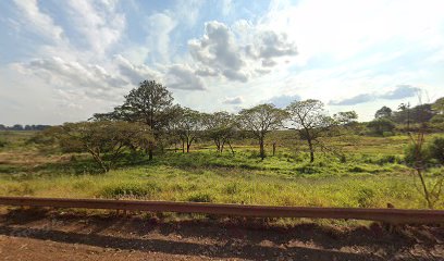 Virasoro Maderas Serl - Gobernador Virasoro 1 thumbnail 59